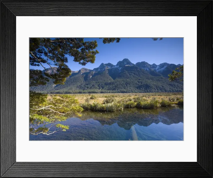 Framed Print : Mirror Pools, Fjordland National Park, South Island, New Zealand Framed Print : Mirror Pools, Fjordland National Park, South Island, New Zealand