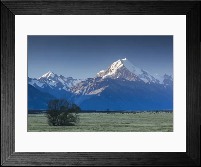 Framed Print : New Zealand, South Island, Canterbury, Aoraki-Mt. Cook National Park, Mt. Cook, dusk Framed Print : New Zealand, South Island, Canterbury, Aoraki-Mt. Cook National Park, Mt. Cook, dusk