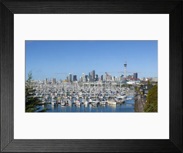 Framed Print : Westhaven Marina & City Skyline, Auckland, Northland, North Island, New Zealand Framed Print : Westhaven Marina & City Skyline, Auckland, Northland, North Island, New Zealand