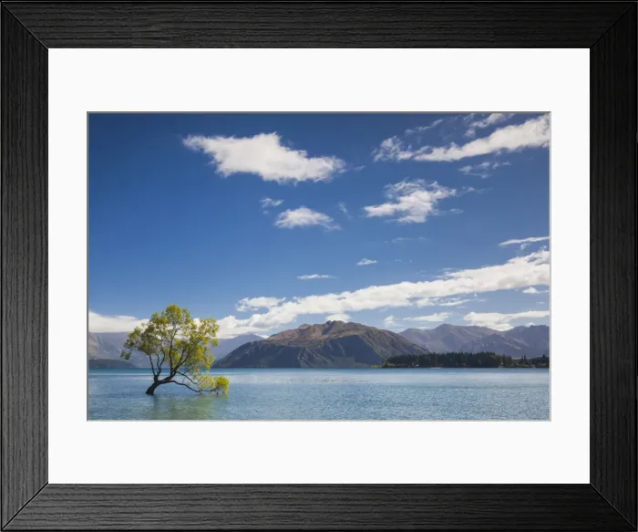 Framed Print : New Zealand, South Island, Otago, Wanaka, Lake Wanaka, solitary tree Framed Print : New Zealand, South Island, Otago, Wanaka, Lake Wanaka, solitary tree