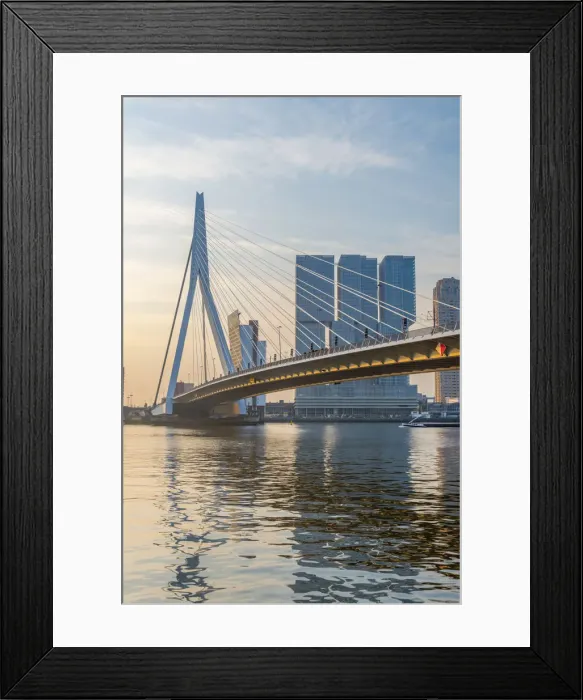 Framed Print : Netherlands, South Holland, Rotterdam, Erasmusbrug, Erasmus Bridge and Wilhelminakade 137 Framed Print : Netherlands, South Holland, Rotterdam, Erasmusbrug, Erasmus Bridge and Wilhelminakade 137