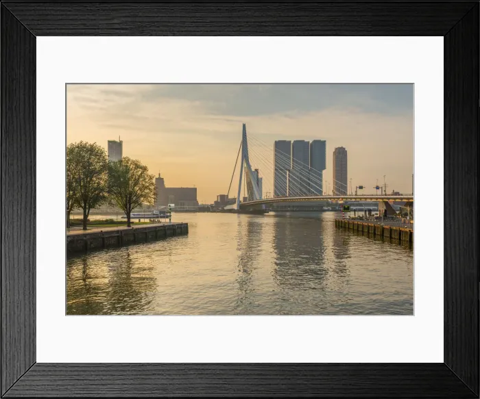 Framed Print : Netherlands, South Holland, Rotterdam, Erasmusbrug, Erasmus Bridge and Wilhelminakade 137 Framed Print : Netherlands, South Holland, Rotterdam, Erasmusbrug, Erasmus Bridge and Wilhelminakade 137