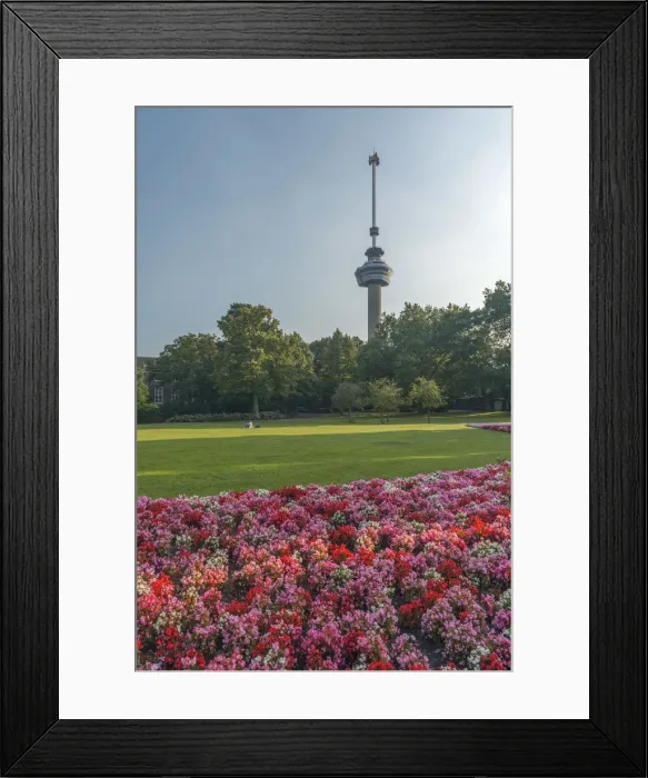 Framed Print : Netherlands, South Holland, Rotterdam, Euromast Framed Print : Netherlands, South Holland, Rotterdam, Euromast
