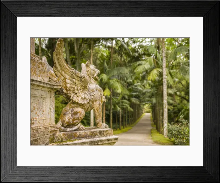 Framed Print : Portugal, Azores, Sao Miguel Island, Furnas, Terra Nostra Garden, Monumento do Vicondes Framed Print : Portugal, Azores, Sao Miguel Island, Furnas, Terra Nostra Garden, Monumento do Vicondes