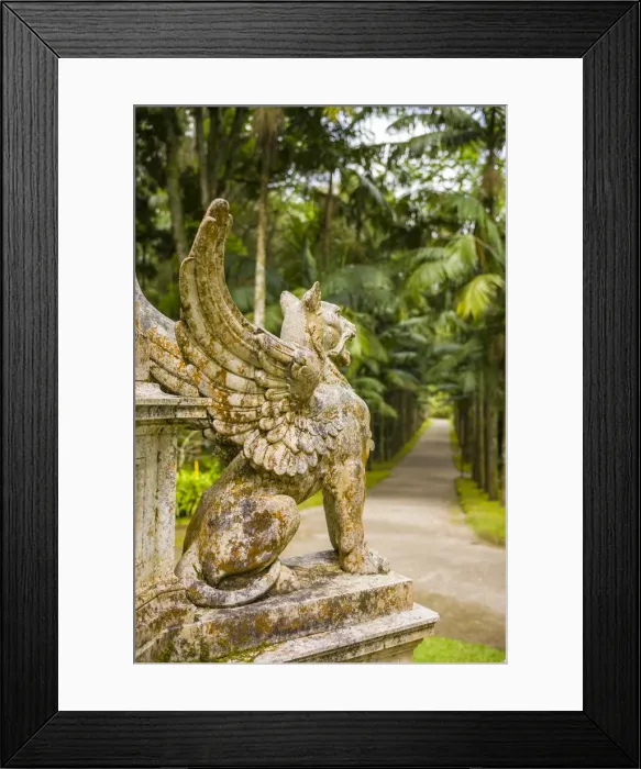 Framed Print : Portugal, Azores, Sao Miguel Island, Furnas, Terra Nostra Garden, Monumento do Vicondes Framed Print : Portugal, Azores, Sao Miguel Island, Furnas, Terra Nostra Garden, Monumento do Vicondes