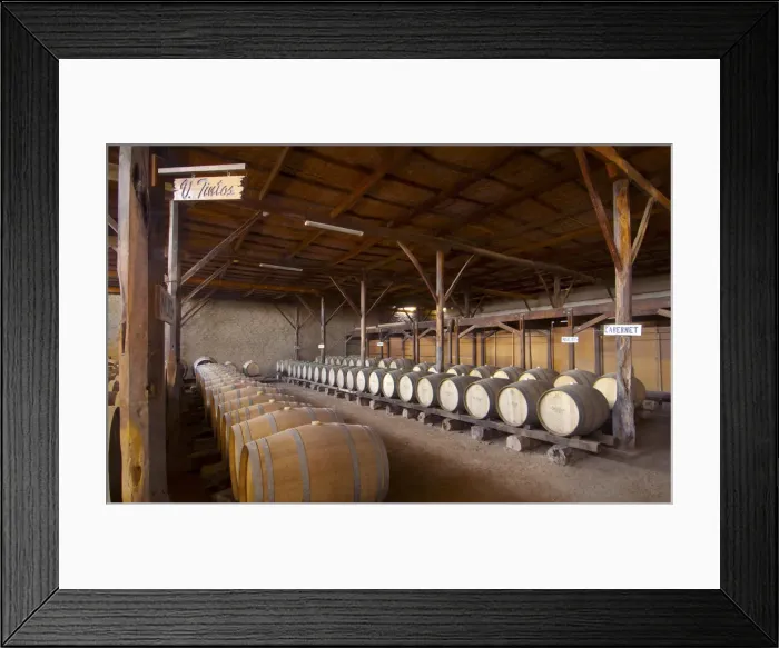 Framed Print : Peru, Bodega Ocucaje, Winery And Vineyards, Barrels Of Aging Red Wines, Ocucaje Desert