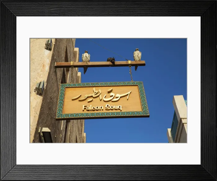 Framed Print : Qatar, Doha, Falcon Souq at Souk Waqif Framed Print : Qatar, Doha, Falcon Souq at Souk Waqif
