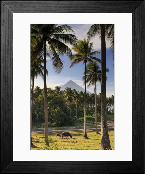 Framed Print : Philippines, Southeastern Luzon, Bicol, Mayon Volcano Framed Print : Philippines, Southeastern Luzon, Bicol, Mayon Volcano