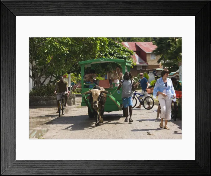 Framed Print : Seychelles, La Digue Island, La Passe, traditional oxcart taxi Framed Print : Seychelles, La Digue Island, La Passe, traditional oxcart taxi