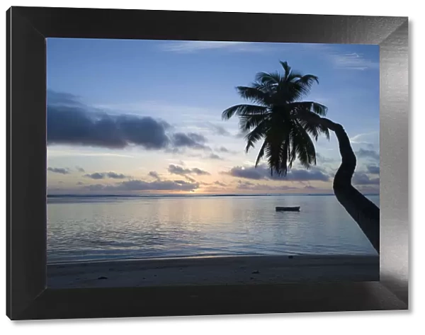 Seychelles, Mahe Island, horizontal palm, Fairyland Beach, dawn