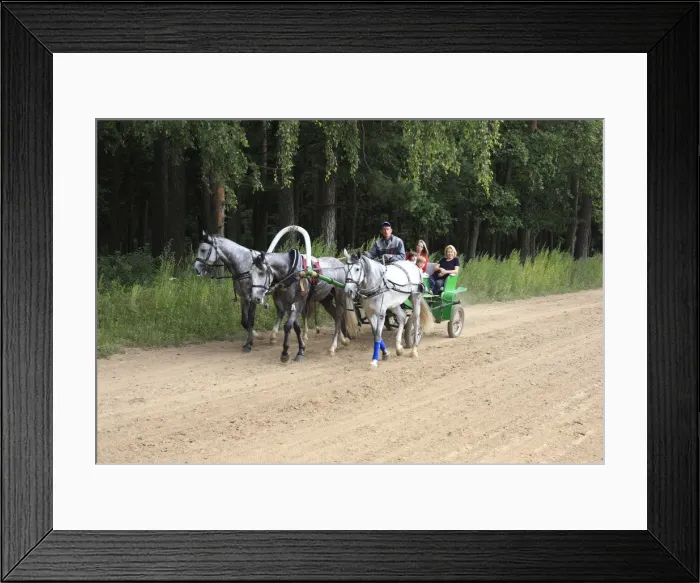 Framed Print : Troika, Moscow region, Russia Framed Print : Troika, Moscow region, Russia
