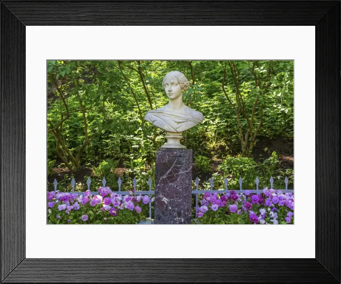Framed Print : Bust of Grand Duchess Alexandra Nikolaevna in Lower Gardens, Peterhof, Saint Petersburg Framed Print : Bust of Grand Duchess Alexandra Nikolaevna in Lower Gardens, Peterhof, Saint Petersburg