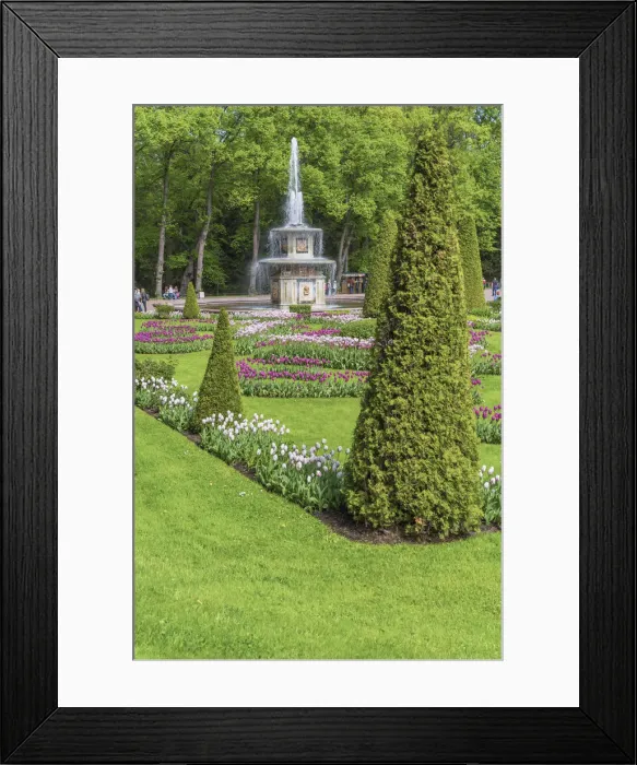 Framed Print : Fountain in the park, Peterhof, Saint Petersburg, Russia Framed Print : Fountain in the park, Peterhof, Saint Petersburg, Russia