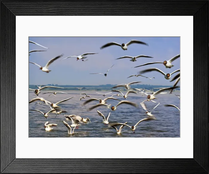 Framed Print : Russia, The Golden Ring, Rostov The Great, Monastery of St James, Birds flying over Framed Print : Russia, The Golden Ring, Rostov The Great, Monastery of St James, Birds flying over