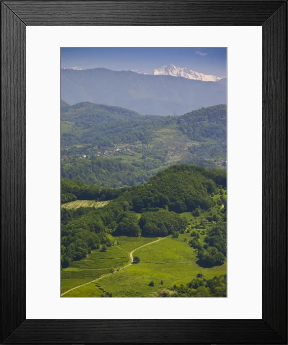 Framed Print : Russia, Black Sea Coast, Sochi-area, Dagomys Framed Print : Russia, Black Sea Coast, Sochi-area, Dagomys