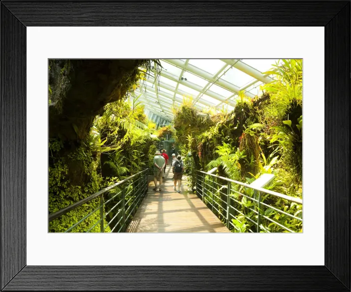 Framed Print : Cool House in Singapore Botanic Gardens, Singapore Framed Print : Cool House in Singapore Botanic Gardens, Singapore