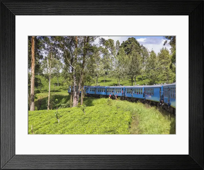 Framed Print : Sri Lanka, Central Province, Kandy to Badulla train alongside tea plantation Framed Print : Sri Lanka, Central Province, Kandy to Badulla train alongside tea plantation