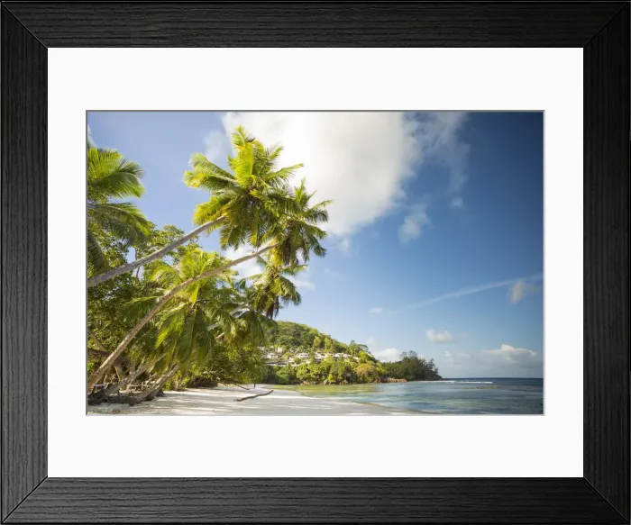 Framed Print : Palm trees and tropical beach, southern Mahe, Seychelles Framed Print : Palm trees and tropical beach, southern Mahe, Seychelles