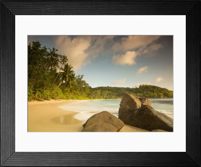 Framed Print : Palm trees and tropical beach, southern Mahe, Seychelles Framed Print : Palm trees and tropical beach, southern Mahe, Seychelles