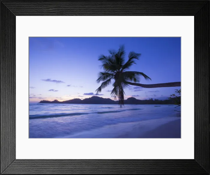 Framed Print : Palm trees and tropical beach, southern Mahe, Seychelles Framed Print : Palm trees and tropical beach, southern Mahe, Seychelles