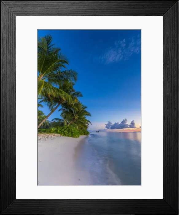 Framed Print : Palm trees and tropical beach, La Digue, Seychelles Framed Print : Palm trees and tropical beach, La Digue, Seychelles