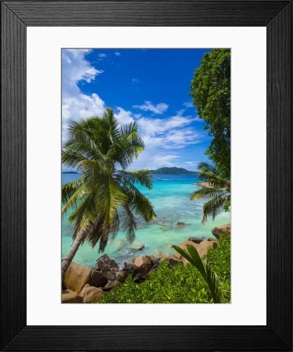 Framed Print : Palm trees and tropical beach, La Digue, Seychelles