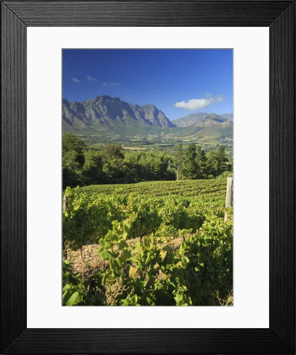 Framed Print : South Africa, Western Cape, Franschhoek, view over Town and Valley Framed Print : South Africa, Western Cape, Franschhoek, view over Town and Valley