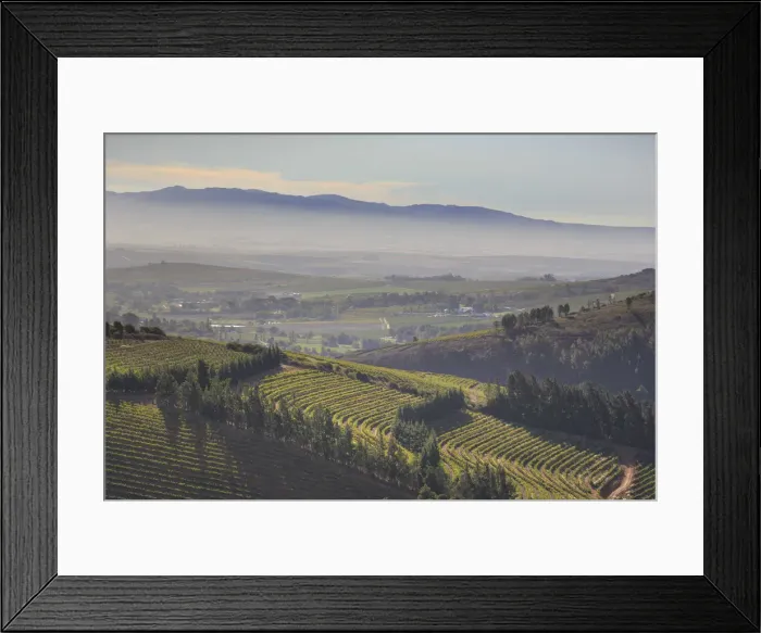 Framed Print : South Africa, Western Cape, Paarl, Doolhof Wine Estate
