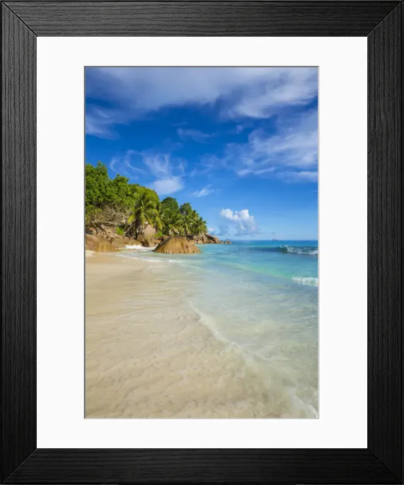 Framed Print : Palm trees and tropical beach, La Digue, Seychelles Framed Print : Palm trees and tropical beach, La Digue, Seychelles