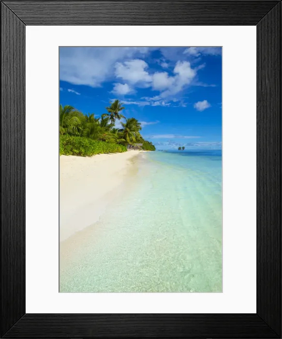Framed Print : Palm trees and tropical beach, La Digue, Seychelles Framed Print : Palm trees and tropical beach, La Digue, Seychelles