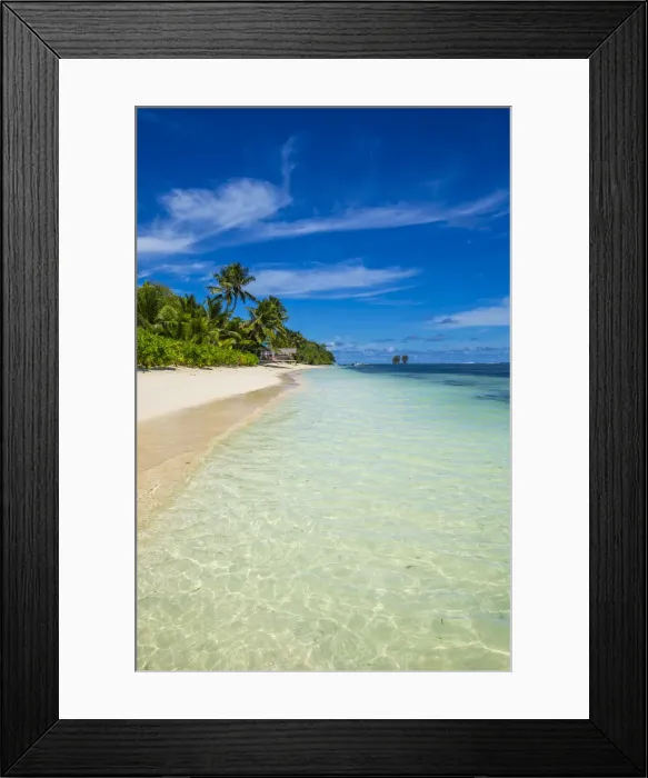 Framed Print : Palm trees and tropical beach, La Digue, Seychelles Framed Print : Palm trees and tropical beach, La Digue, Seychelles