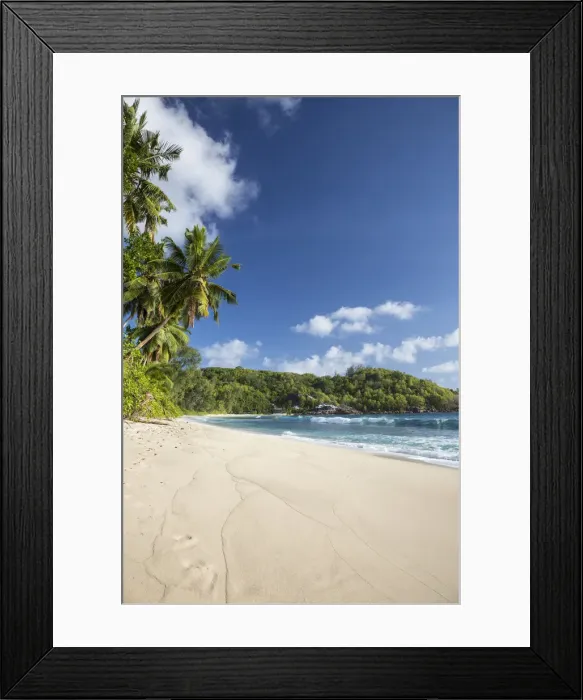 Framed Print : Palm trees and tropical beach, southern Mahe, Seychelles Framed Print : Palm trees and tropical beach, southern Mahe, Seychelles