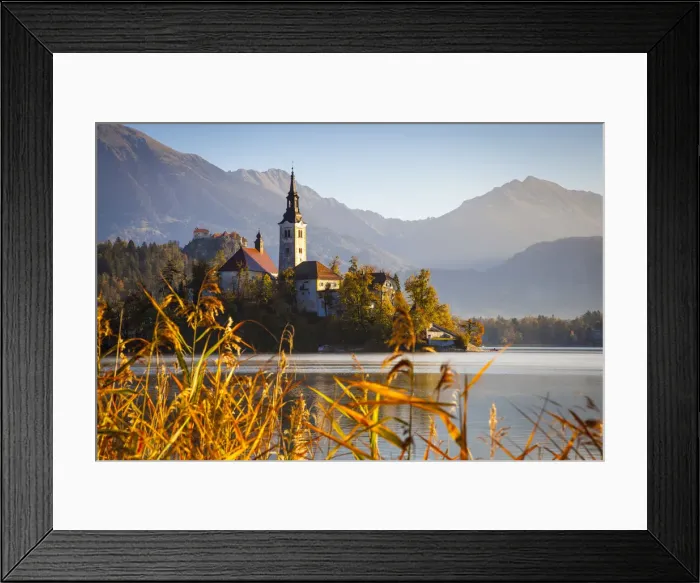 Framed Print : Bled Island (Blejski otok) with the Church of the Assumption (Cerkev Marijinega Framed Print : Bled Island (Blejski otok) with the Church of the Assumption (Cerkev Marijinega