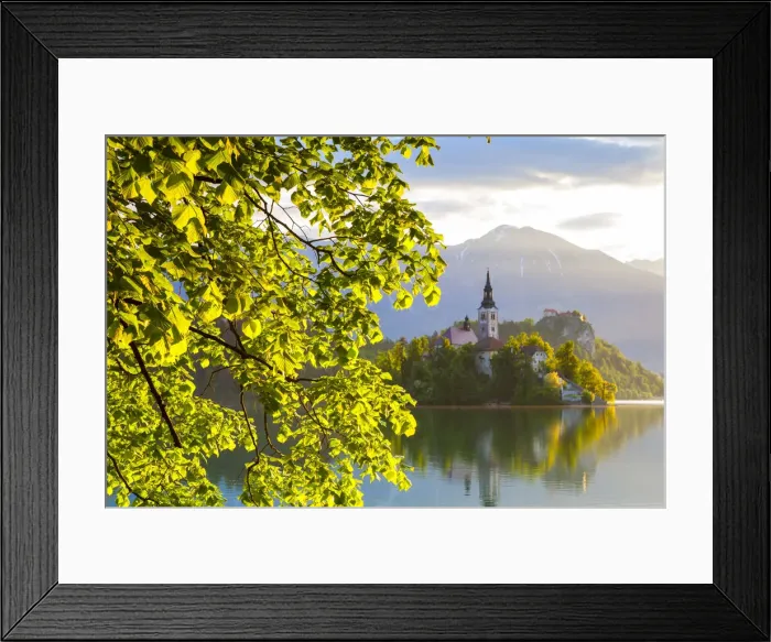 Framed Print : Bled Island with the Church of the Assumption illuminated at sunrise, Lake Bled, Bled