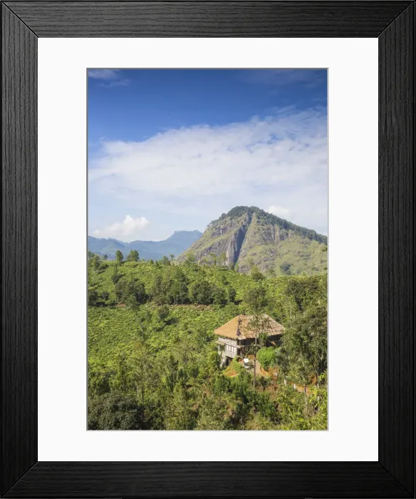 Framed Print : Sri Lanka, Ella, 98 Acres Resort and Spa Framed Print : Sri Lanka, Ella, 98 Acres Resort and Spa