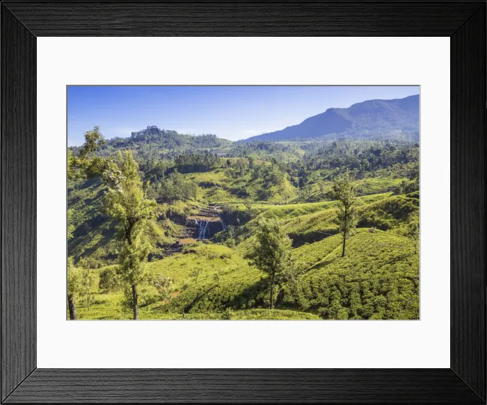 Framed Print : Sri Lanka, Nuwara Eliya, St Clair Waterfall Framed Print : Sri Lanka, Nuwara Eliya, St Clair Waterfall