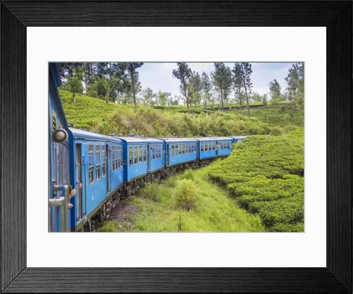 Framed Print : Sri Lanka, Central Province, Kandy to Badulla train alongside tea plantation Framed Print : Sri Lanka, Central Province, Kandy to Badulla train alongside tea plantation