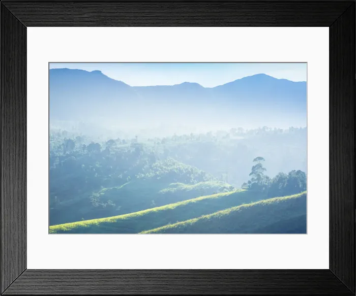 Framed Print : Sri Lanka, Nuwara Eliya, St Clair Framed Print : Sri Lanka, Nuwara Eliya, St Clair