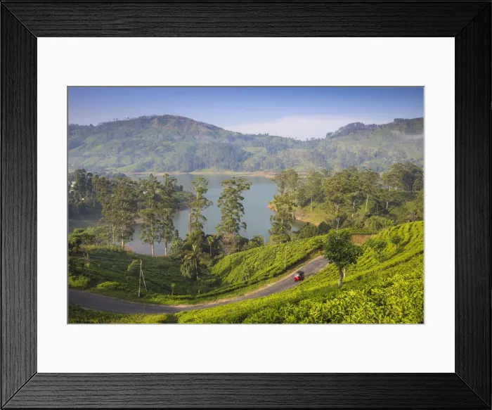 Framed Print : Sri Lanka, Hatton, View of tea estate and Castlereagh Lake Framed Print : Sri Lanka, Hatton, View of tea estate and Castlereagh Lake