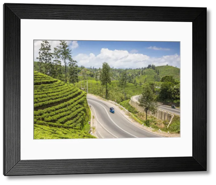 Framed Print : Sri Lanka, Hatton, Tuk Tuk on road Framed Print : Sri Lanka, Hatton, Tuk Tuk on road