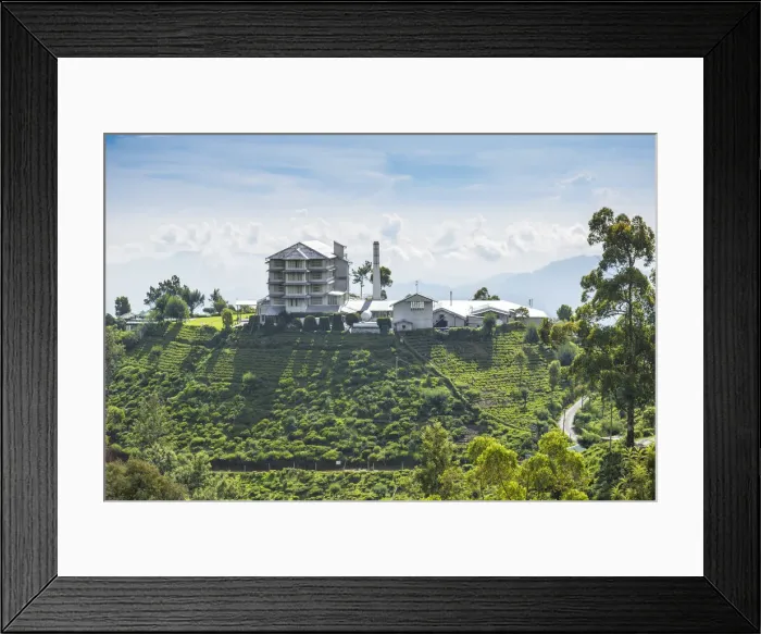 Framed Print : Sri Lanka, Nuwara Eliya, Heritance tea estate, Heritance tea factory hotel Framed Print : Sri Lanka, Nuwara Eliya, Heritance tea estate, Heritance tea factory hotel