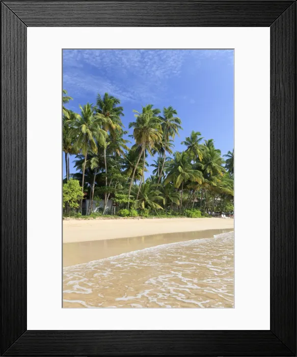 Framed Print : Sri Lanka, South Coast, Mirissa, Beach Framed Print : Sri Lanka, South Coast, Mirissa, Beach