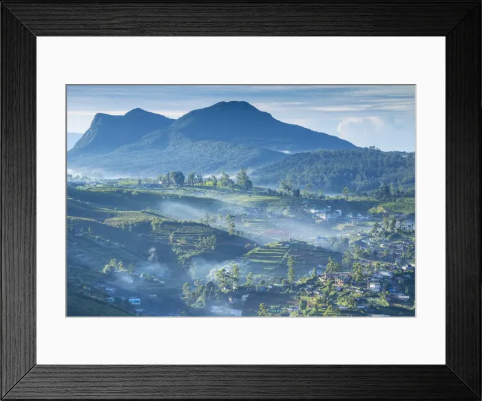 Framed Print : Sri Lanka, Nuwara Eliya Framed Print : Sri Lanka, Nuwara Eliya