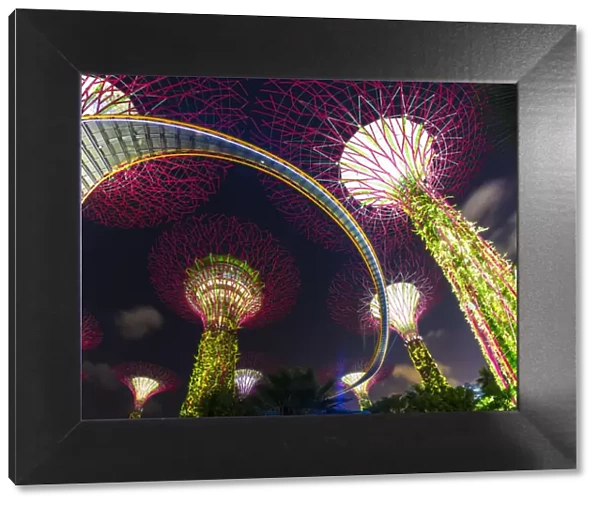 Gardens by the Bay and Super Tree Grove at night, Marina Bay, Singapore