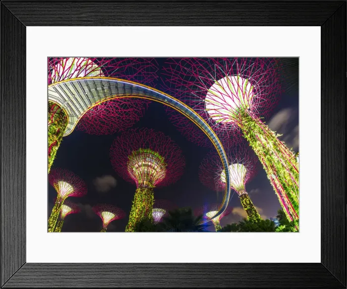 Framed Print : Gardens by the Bay and Super Tree Grove at night, Marina Bay, Singapore Framed Print : Gardens by the Bay and Super Tree Grove at night, Marina Bay, Singapore