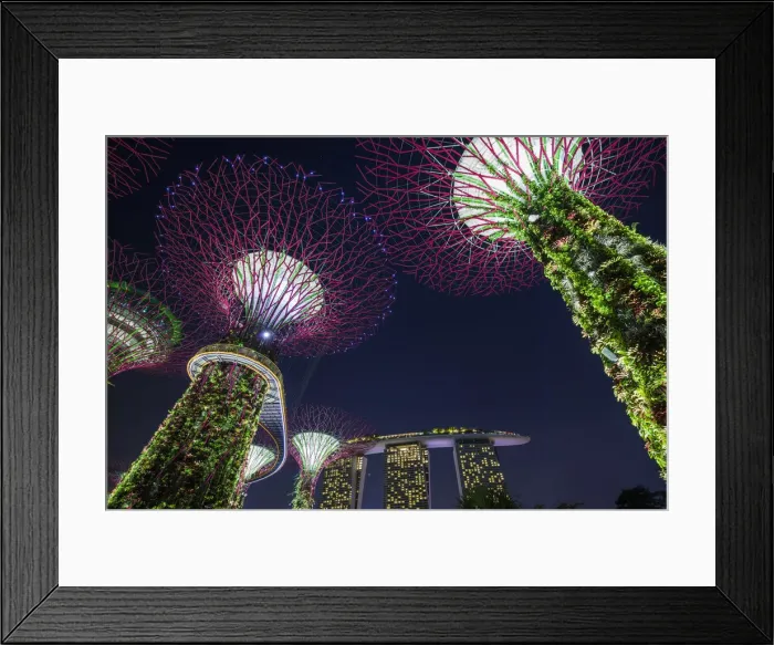 Framed Print : Singapore, Gardens By The Bay, Super Tree Grove and Marina Bay Sands Hotel, dusk Framed Print : Singapore, Gardens By The Bay, Super Tree Grove and Marina Bay Sands Hotel, dusk