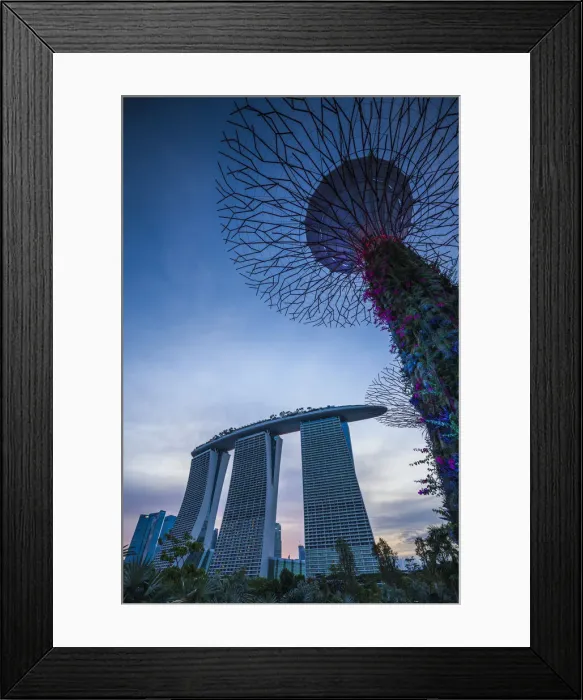 Framed Print : Singapore, Gardens By The Bay, Super Tree Grove and Marina Bay Sands Hotel, dusk Framed Print : Singapore, Gardens By The Bay, Super Tree Grove and Marina Bay Sands Hotel, dusk