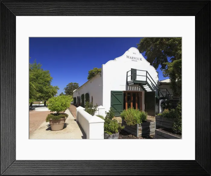 Framed Print : South Africa, Western Cape, Paarl, Warwick Wine Estate Framed Print : South Africa, Western Cape, Paarl, Warwick Wine Estate