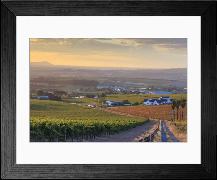 Framed Print : South Africa, Western Cape, Stellenbosch, Hidden Valley Wine Estate Framed Print : South Africa, Western Cape, Stellenbosch, Hidden Valley Wine Estate
