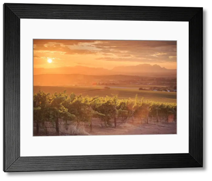 Framed Print : South Africa, Western Cape, Stellenbosch, Hidden Valley Wine Estate Framed Print : South Africa, Western Cape, Stellenbosch, Hidden Valley Wine Estate
